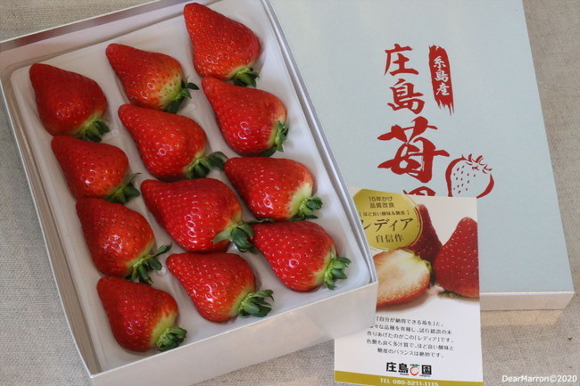 203A2304_R.jpg