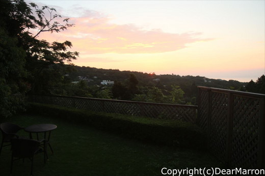 IMG_0082_R.jpg