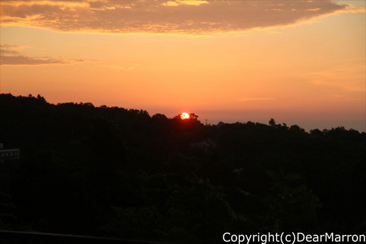 IMG_0087_R.jpg