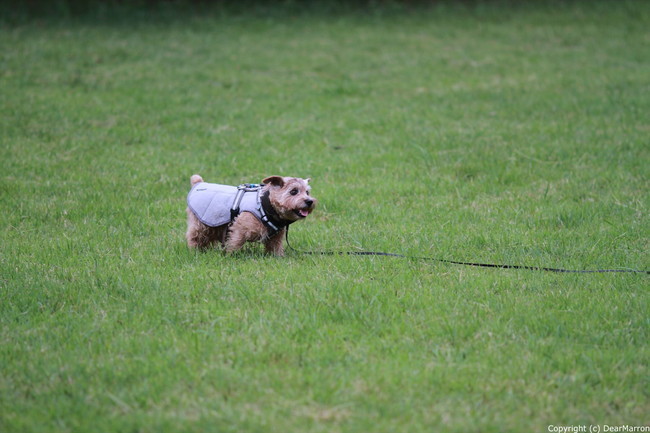 IMG_2269_R.jpg