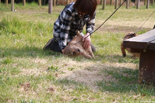 IMG_2823_R.jpg