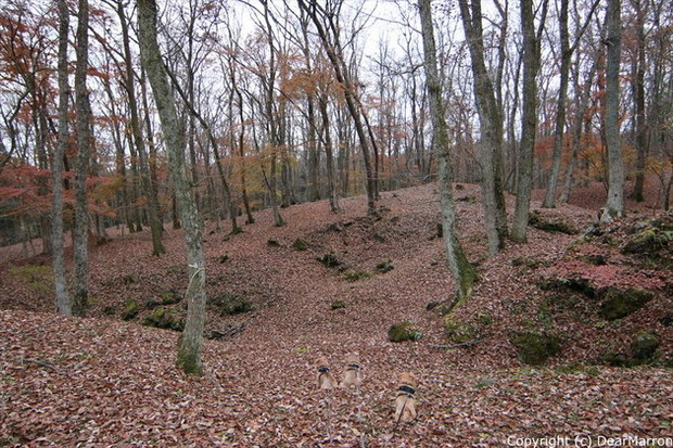 IMG_3068_R.jpg