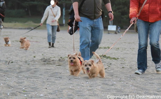 IMG_4139_R.jpg