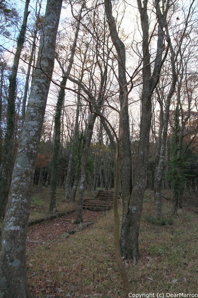 IMG_7161_R.jpg
