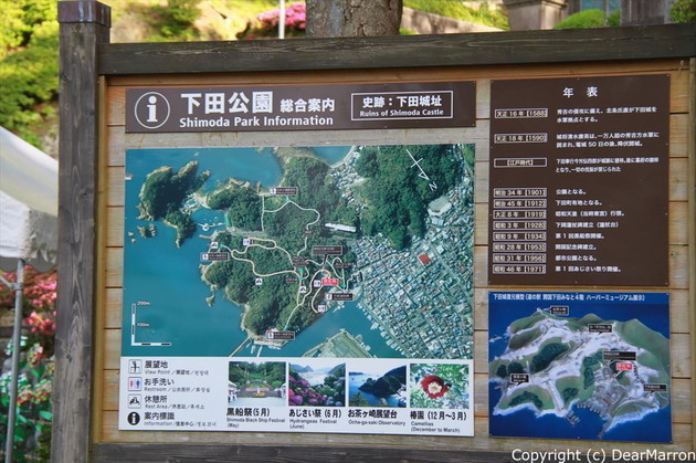 IMG_9405_R.jpg